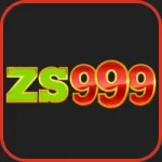 ZS999