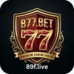 B77 BET