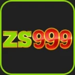 ZS999